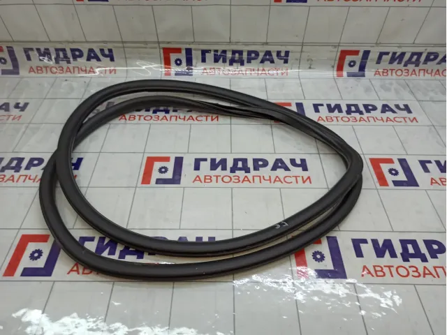 Уплотнитель двери передней правой Chevrolet Aveo 95190187