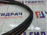 Уплотнитель двери передней правой Chevrolet Aveo 95190187
