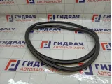 Уплотнитель двери передней правой Chevrolet Aveo 95190187