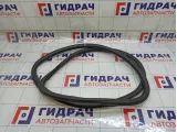 Уплотнитель двери задней левой Chevrolet Aveo 95190190