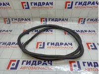 Уплотнитель двери задней левой Chevrolet Aveo 95190190