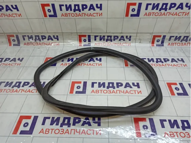 Уплотнитель двери задней левой Chevrolet Aveo 95190190