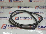 Уплотнитель двери задней левой Chevrolet Aveo 95190190