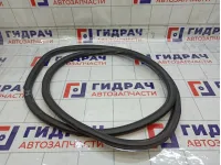 Уплотнитель двери задней правой Chevrolet Aveo 95190191