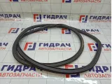 Уплотнитель двери задней правой Chevrolet Aveo 95190191