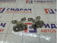 Петли двери задней левой Chevrolet Aveo
