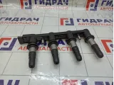 Катушка зажигания Chevrolet Aveo 55561655