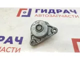 Натяжитель ремня Chevrolet Aveo 96349976.