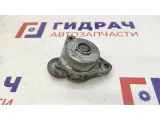 Натяжитель ремня Chevrolet Aveo 96349976.