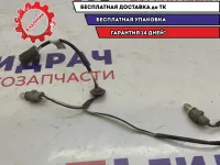 Проводка подсветки номера Chevrolet Aveo 95383431.