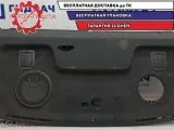 Полка Chevrolet Aveo T250 96806721.