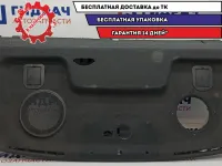 Полка Chevrolet Aveo T250 96806721.