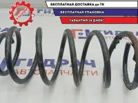 Пружина передняя Chevrolet Aveo T250 96653237.