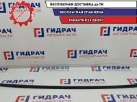 Молдинг крыши левый Chevrolet Aveo T250 96648565.