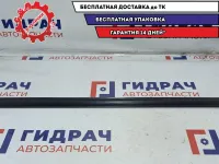 Накладка стекла двери передней левой наружняя Chevrolet Aveo T250 96801085.