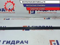 Накладка стекла двери передней правой наружняя Chevrolet Aveo T250 96801086.