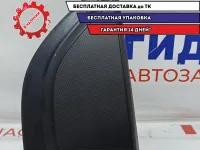 Накладка двери задней правой наружняя Chevrolet Aveo T250 96649125.