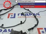 Проводка двери передней правой Chevrolet Aveo T250 96652067.