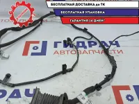 Проводка двери передней правой Chevrolet Aveo T250 96652067.