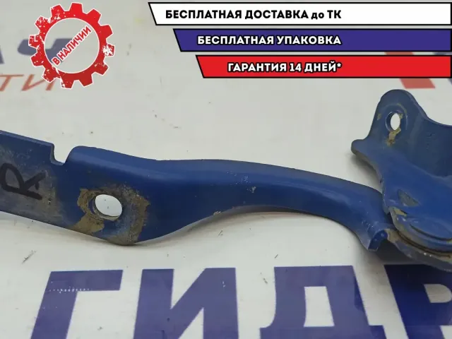 Петля капота правая Chevrolet Aveo T250 96649284.