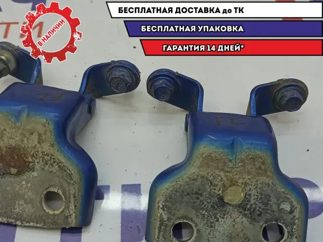 Петли двери передней левой Chevrolet Aveo T250 .