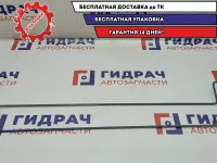 Торсион багажника Chevrolet Aveo T250 96800128. Комплект.