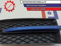 Решетка в бампер левая Chevrolet Aveo T250 96648785.