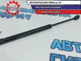Амортизатор двери багажника Chevrolet Aveo T250 96540939.