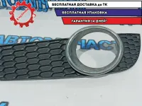 Решетка в бампер правая Chevrolet Aveo T250 96808146.