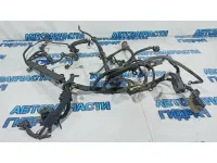Проводка моторная Chevrolet Aveo T250.