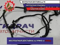 Проводка двери передней правой Chevrolet Aveo (T300) 95133164.