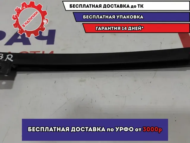 Направляющая стекла двери задняя правая Chevrolet Aveo (T300) 95942470.
