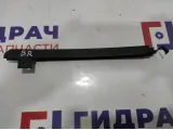 Направляющая стекла двери задняя правая Chevrolet Aveo (T300) 95942470.