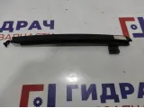 Направляющая стекла двери задняя правая Chevrolet Aveo (T300) 95942470.