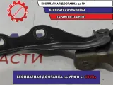 Петля капота правая Chevrolet Aveo (T300) 95462342.