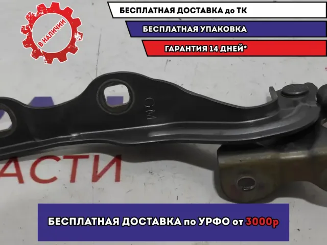 Петля капота правая Chevrolet Aveo (T300) 95462342.