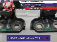 Петли двери задней левой Chevrolet Aveo (T300) . Комплект.