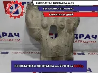 Экран тепловой Chevrolet Aveo (T300) 25181812.