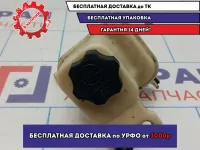 Бачок гидроусилителя Chevrolet Aveo (T300) 95218392.