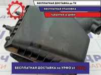 Корпус воздушного фильтра Chevrolet Aveo (T300) 95920467.