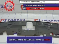 Кожух замка капота Chevrolet Aveo (T300) 96694780.
