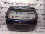 Дверь багажника Chevrolet Captiva (C100) 95240538