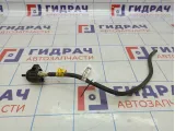 Клапан вентиляции топливного бака Chevrolet Captiva (C100) 12611801