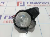 Фара противотуманная левая Chevrolet Captiva (C100) 96626979