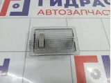 Плафон салонный Chevrolet Cobalt (T250) 13126729