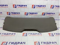 Полка Chevrolet Cobalt (T250) 52032538