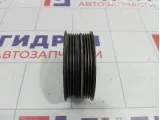 Шкив водяного насоса (помпы) Chevrolet Cobalt (T250) 25185585