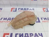 Бачок расширительный Chevrolet Cobalt (T250) 95048411