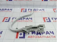 Петля крышки багажника левая Chevrolet Cobalt (T250) 52030944