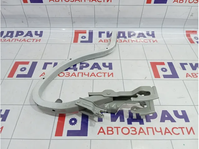 Петля крышки багажника левая Chevrolet Cobalt (T250) 52030944
